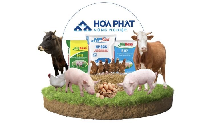 Hòa Phát Agriculture (HPA) IPO: Cơ hội mới trong ngành chăn nuôi
