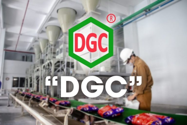 DGC: Sập vì tin đồn hay món quà định giá cho nhà đầu tư dài hạn?